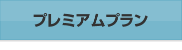 プレミアムプラン